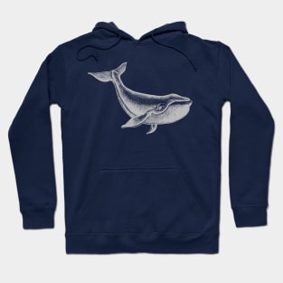 Whale’s Tale Hoodie